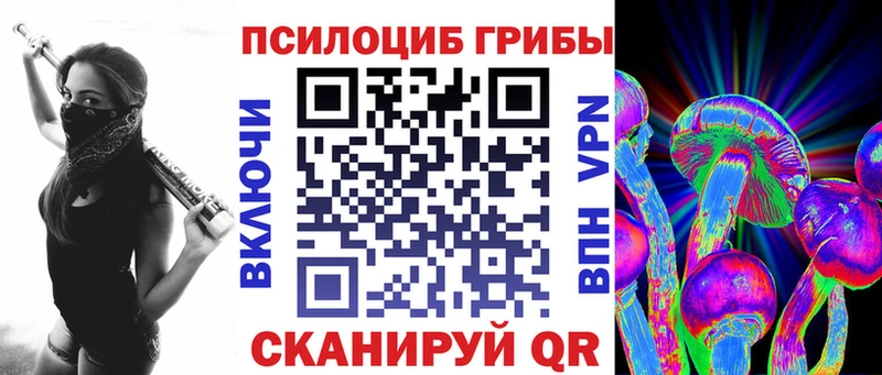 купить наркоту  Нелидово  блэк спрут ссылки  Галлюциногенные грибы мицелий 